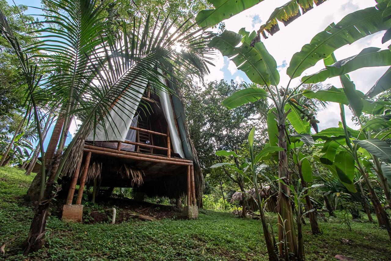 Villa Yira Eco-Hotel 엘 자이노 외부 사진
